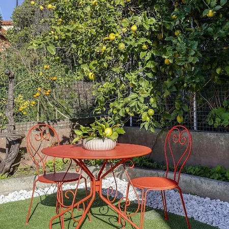 Apartment Graca Terrace